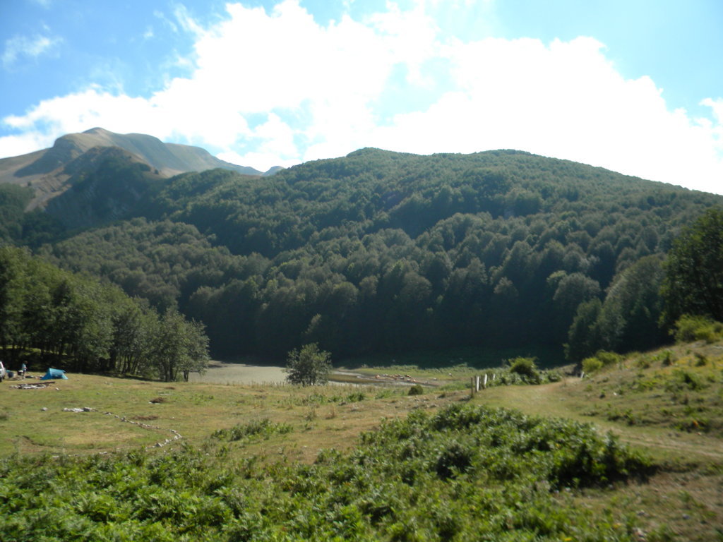 DSCN2754 .JPG